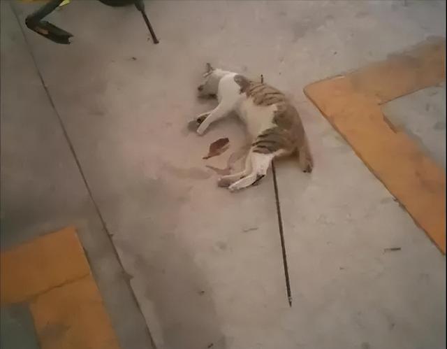 第1415页